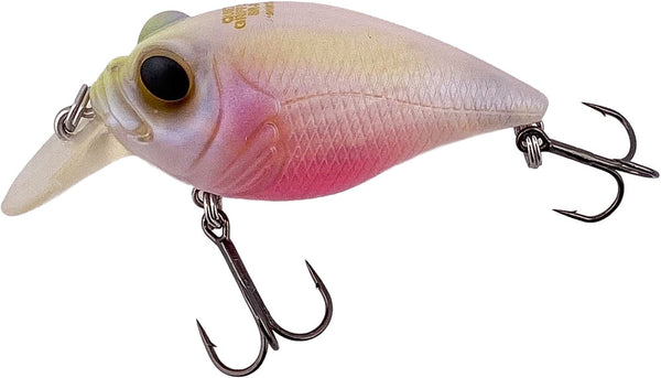 Megabass Quiet Griffon SR-X - Limited Edition — Discount Tackle