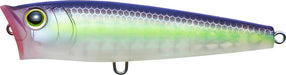 Matte Ghost Sexy Shad - 2.625 inch - 1/4 oz