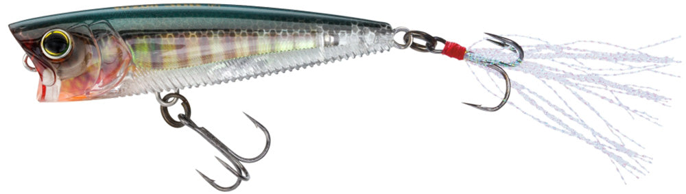 Real Bluegill - 3 inch