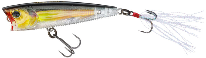 Real Golden Shiner - 3 inch