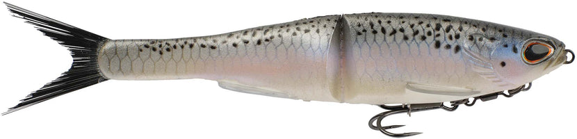 Rainbow Trout, 11 inch