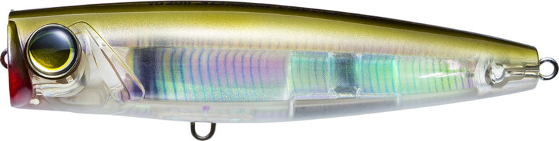 Real Anchovy - 3.5 Inch