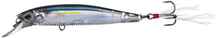 Real Gizzard Shad - 3.5 inch - 7/16 oz