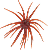 Hag's Baits Big Tex Prickly Pear - 25mm