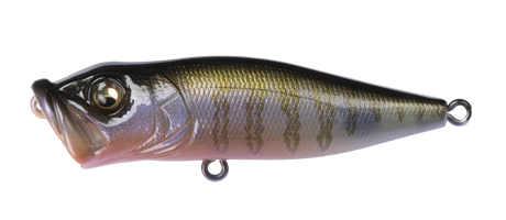 Megabass Pop-X Topwater Popper