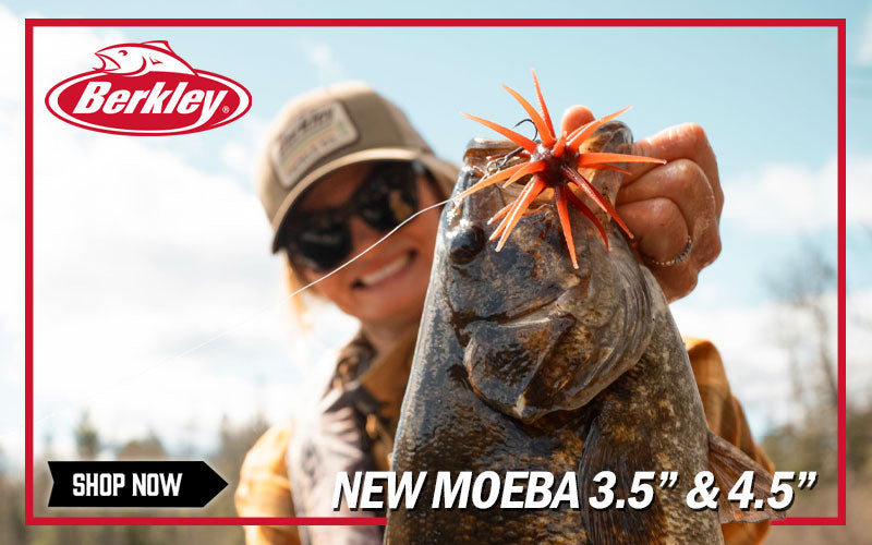 Shop MOEBA Here!