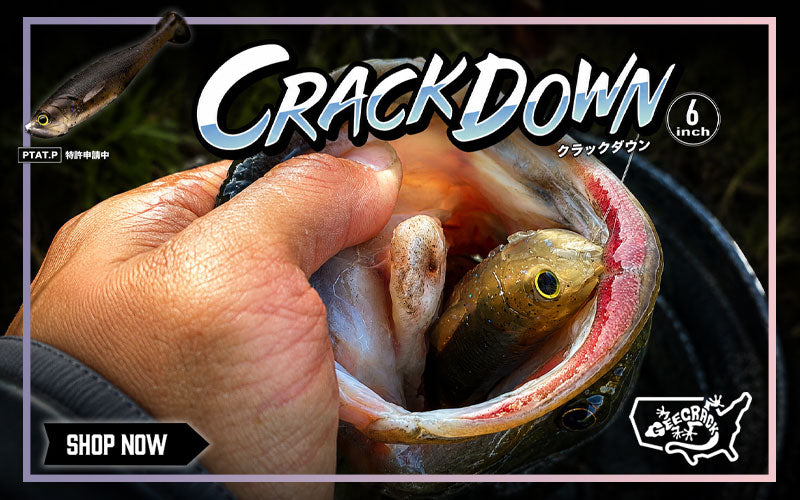 Shop NEW Geecrack Here!