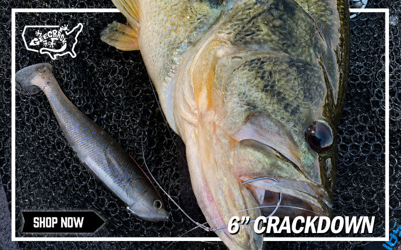 Shop 6" Crackdown Swimbait & More Geecrack Here!