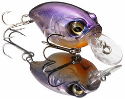 Megabass Sr X Griffon  - GP Kikyou