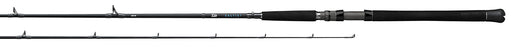 Daiwa Saltist Inshore Casting Rods 2020 Models - 6 feet 6 inches - Medium - Extra Fast