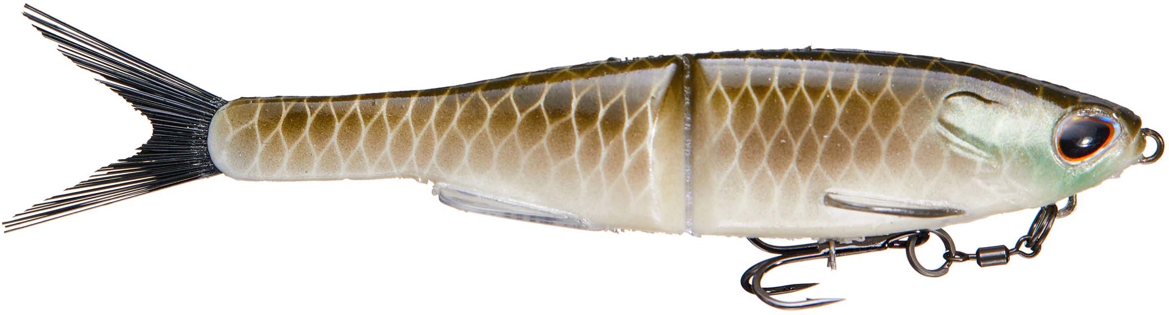 Shad, 11 inch