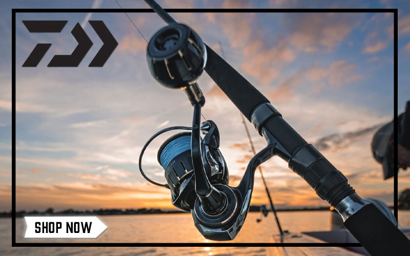 Shop Our Great Selection of Daiwa Saltwater Here!