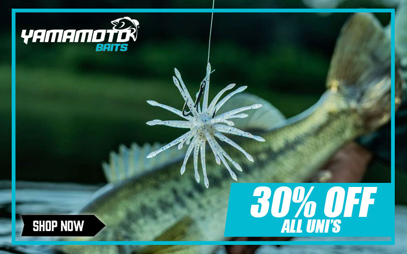Enjoy 30% OFF ALL Yamamoto Uni Urchins!