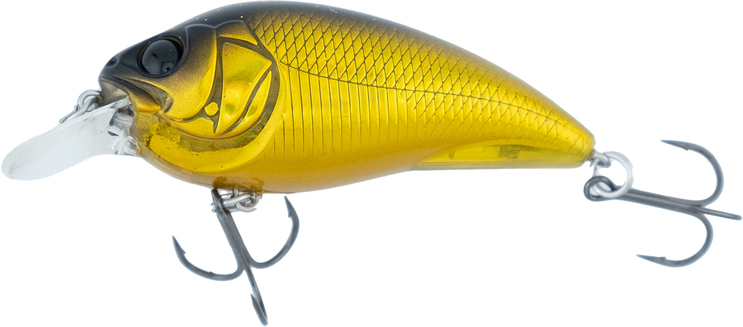 GG Alien Gold - Respect Series