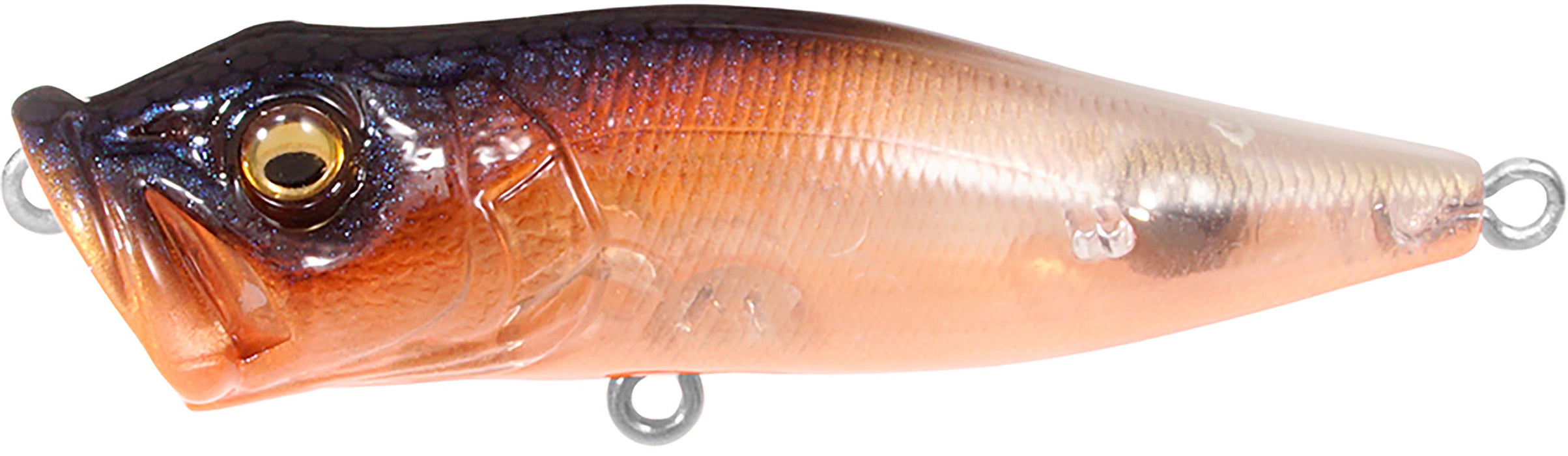 Megabass Pop-X Topwater Popper - TLO