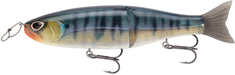 True Gill - 7.5 inch