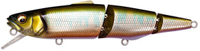 Wagin Oikawa - 5.4 inch