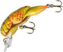 Winter Craw