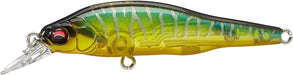 Megabass X-80 JR (BFS) - Respect Series - Gin Tonic Tiger