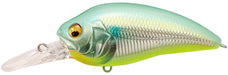 Yuzu Shad