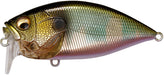 Megabass O.R.C. Over Rev Crank JDM Waking Crankbait - 2.75 Inch - Wagin Oikawa