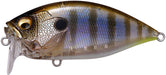 Megabass O.R.C. Over Rev Crank JDM Waking Crankbait - 2.75 Inch Gillkko