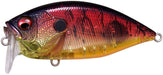 Megabass O.R.C. Over Rev Crank JDM Waking Crankbait - 2.75 Inch - Spawn Killer