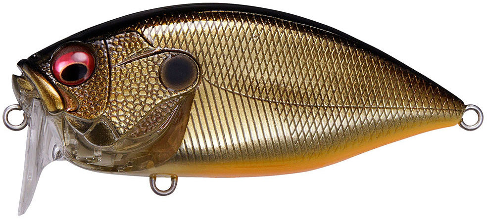 IL Champagne Gold