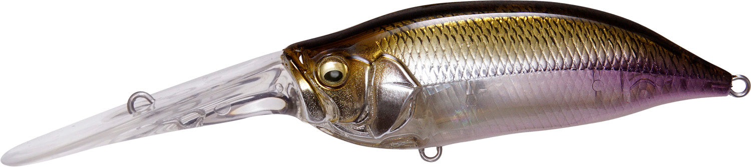 Megabass IxI Shad TX Deep Diving Crankbait - HT Wakasagi