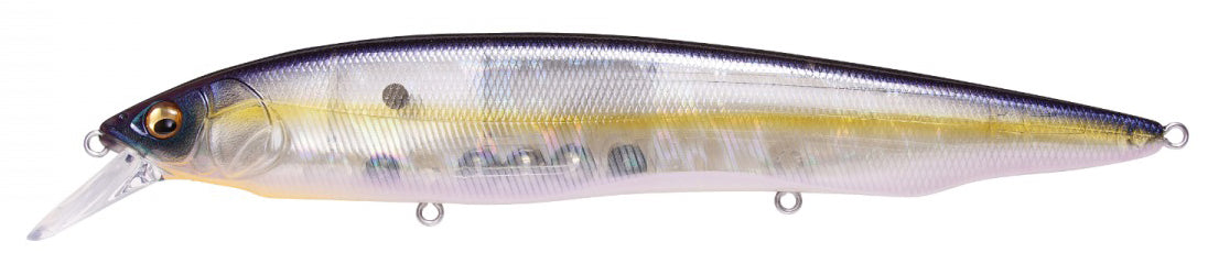 Sexy Shad