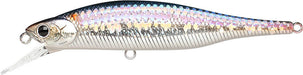 MS American Shad