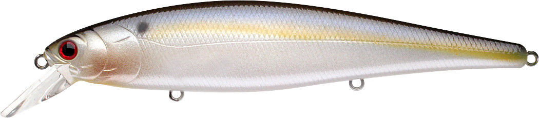 Pearl Threadfin Shad