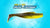 Z-Man DieZel MinnowZ 6 inch Soft Paddle Tail Swimbait 3 pack