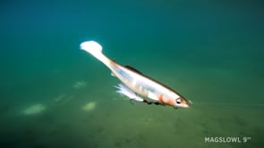 Megabass Magdraft Freestyle Un-Rigged Paddle Tail Swimbait - 5 Inch