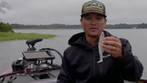 Megabass Magdraft Freestyle Un-Rigged Paddle Tail Swimbait - 5 Inch