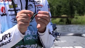 Yamamoto Baits 5 Inch Senko Bulk Packs - 100 Count