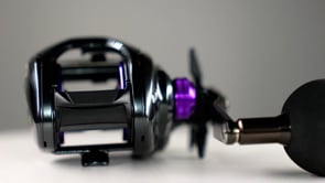 Daiwa Prorex 400 TW Baitcasting Reels - Product Video