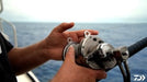 Daiwa Saltiga 1-Speed Lever Drag Conventional Reels - Product Video