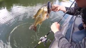 Shimano Tranx 200 Baitcasting Reels - Product Video