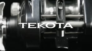 Shimano Tekota A Conventional Reels