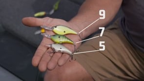 Teste Piombate Berkley Light Fishing Trota lago - La Mincio Teste Piombate Berkley Light Fishing Trota lago - La Mincio