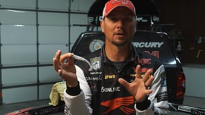 YUM Pulse Paddle Tail Swimbait - 3.5 Inch