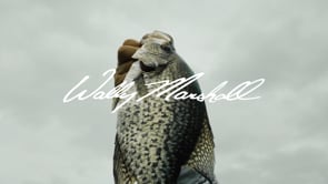 Lew's Wally Marshall Pro Target Crappie Spinning Rods