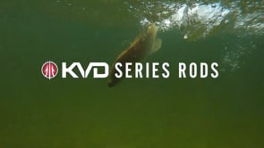 Lew's KVD Spinning Rod
