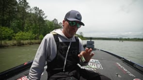 BaitPop Elite Sonar Enhancing Scent With Sparklscales
