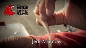 Big Bite Baits 4 Inch Jerk Minnow - 10 Pack