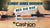 Cashion ELEMENT Series Spinning Rods