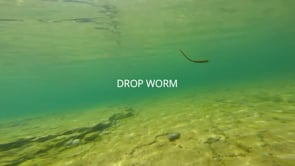 Great Lakes Finesse Drop Worm - 4 Inch