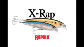 Rapala SXR-10 X-Rap Saltwater Rip Bait - 4 Inch