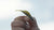 Great Lakes Finesse Hover Minnow - 3.25 Inch - Product Video